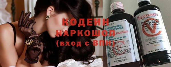 сатива Осинники