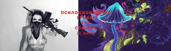 молекула духа Переславль-Залесский