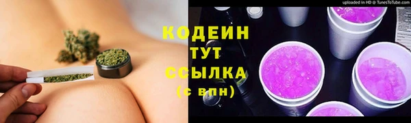 молекула духа Переславль-Залесский