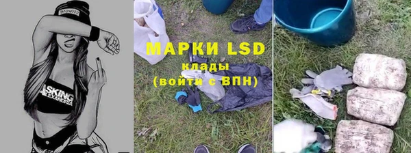 сатива Осинники