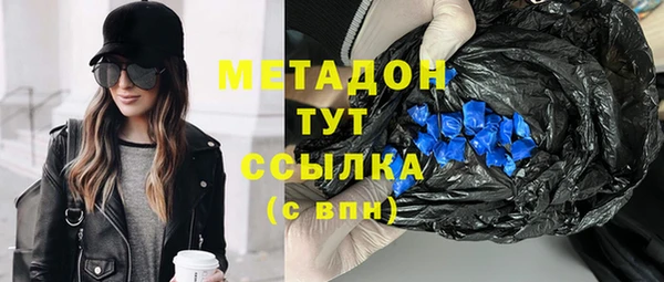 сатива Осинники
