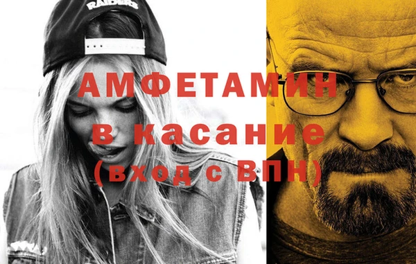 сатива Осинники