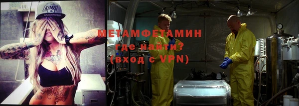 сатива Осинники