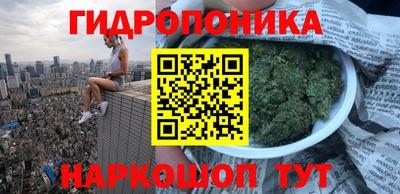 мескалин Камышлов