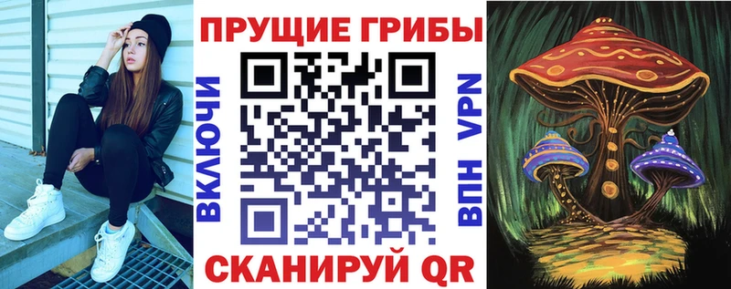 Галлюциногенные грибы Cubensis Новороссийск