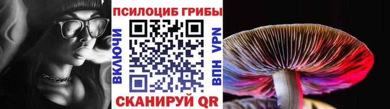 сколько стоит  Новороссийск  Псилоцибиновые грибы ЛСД 